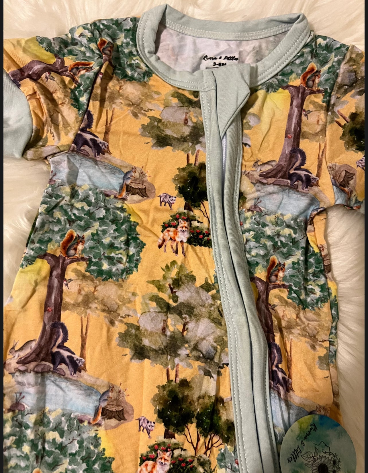Whispering Willows Collection ๐ณ