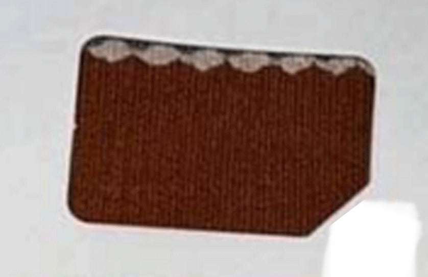 Auburn Adult Ribbed Collection