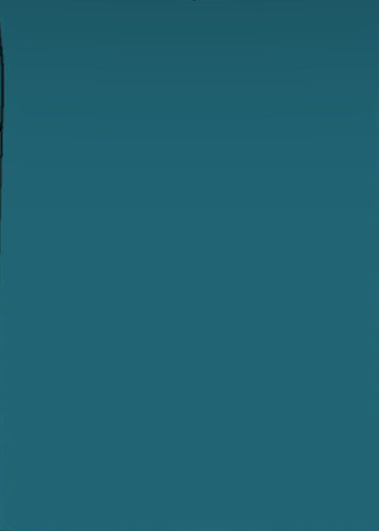 Bold Turquoise Solid Adult Collection