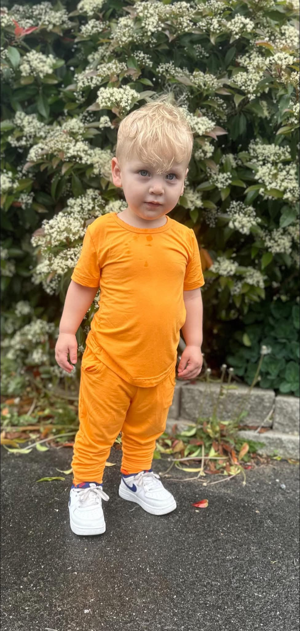 Tangerine Solid Collection