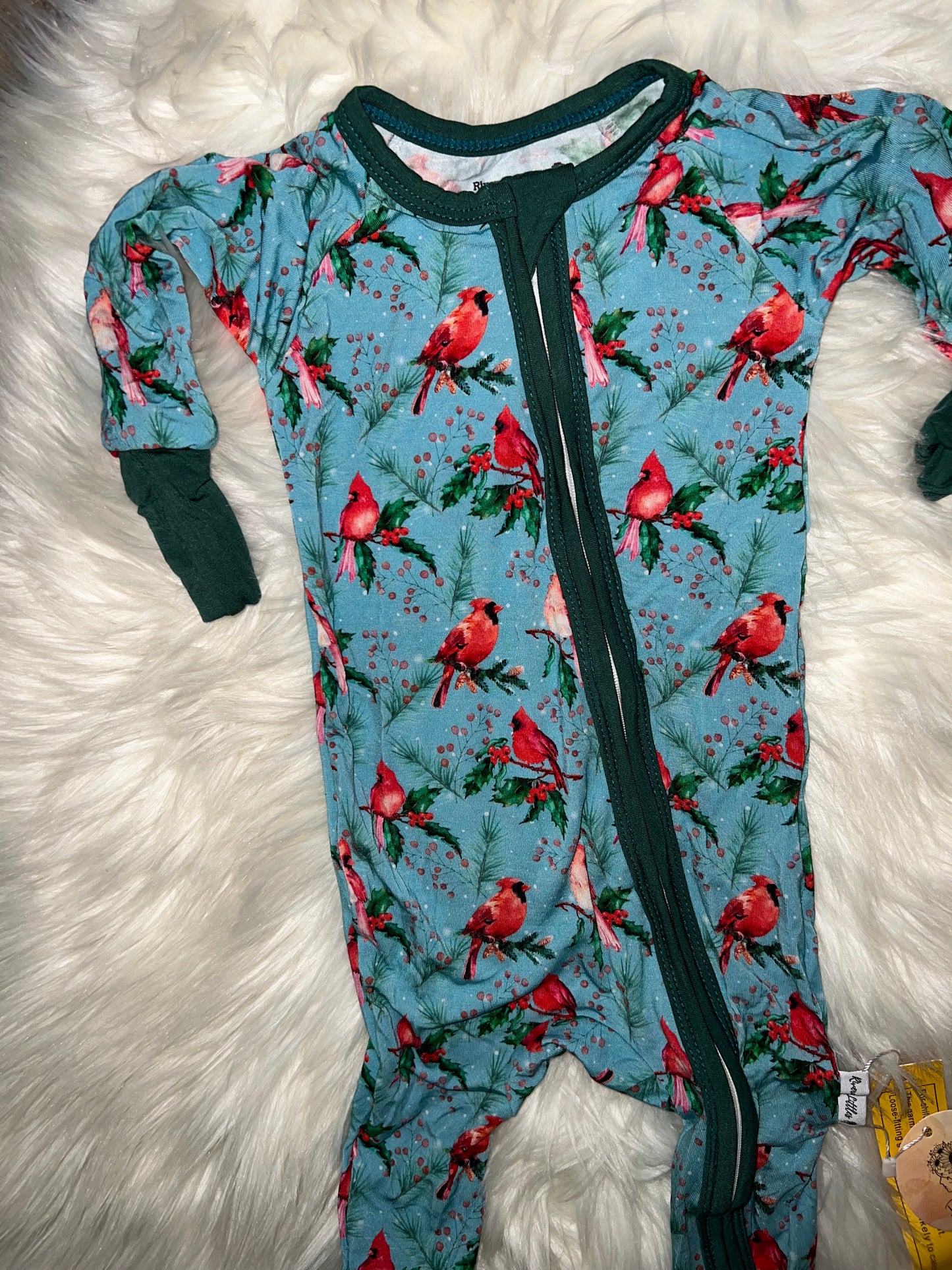 Cozy Cardinals Collection ❤️