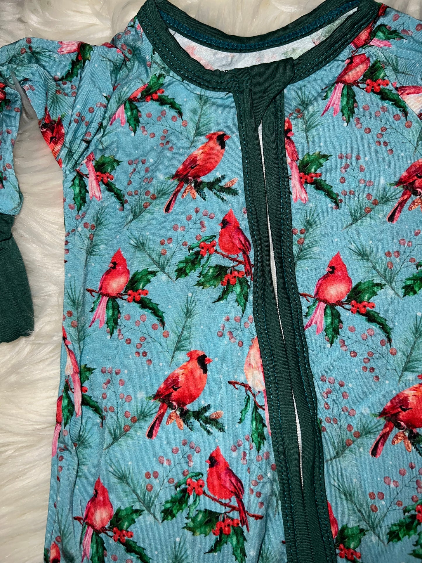 Cozy Cardinals Collection ❤️