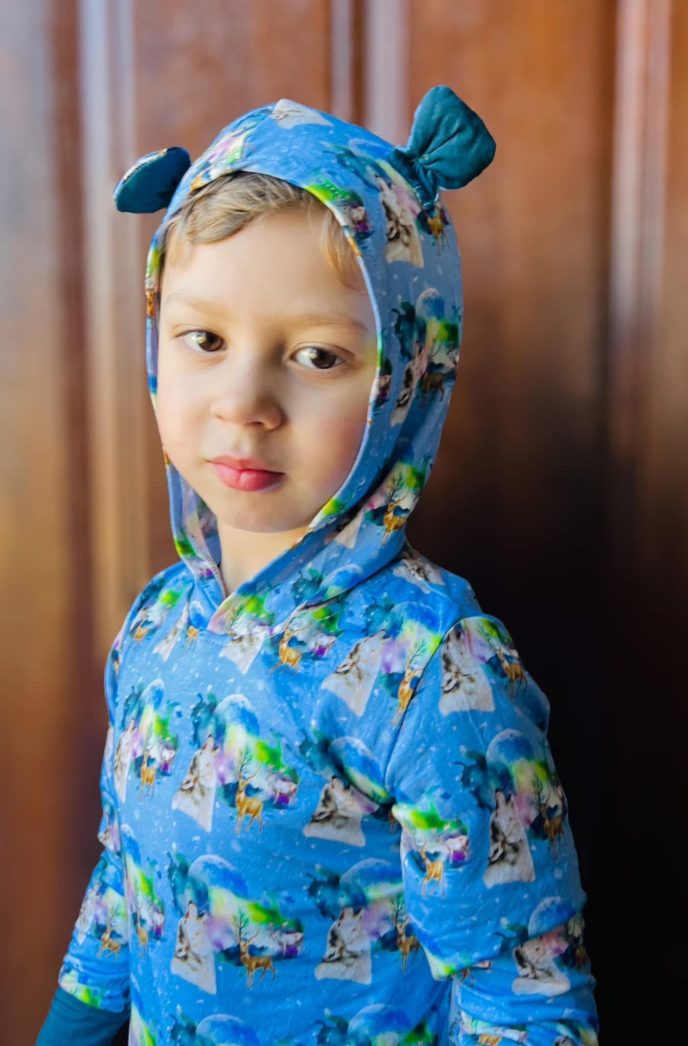 Teddy Hoodies - All Cozy Companion Collections