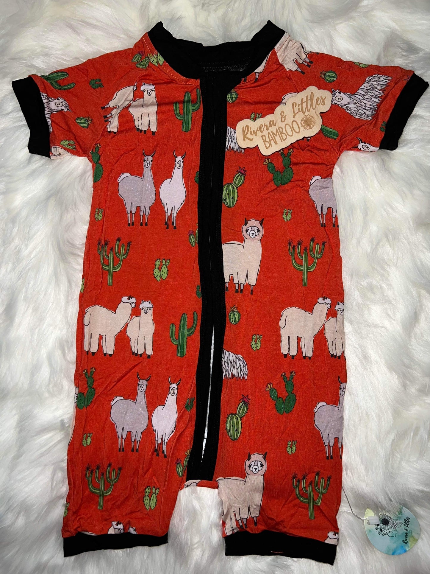 Rio Collection 🦙