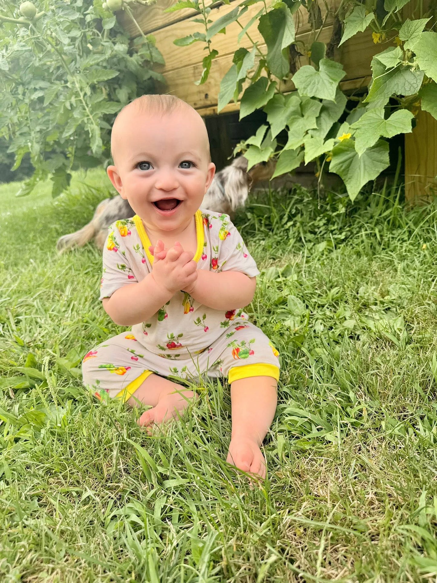 Short Sleeve Envelope Romper - All Space Collections