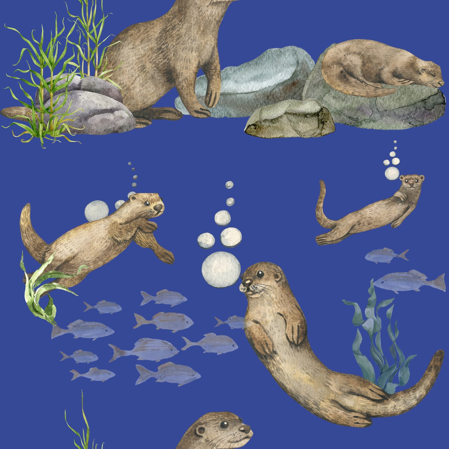 Adult Shirts - Ocean Exploration Collections