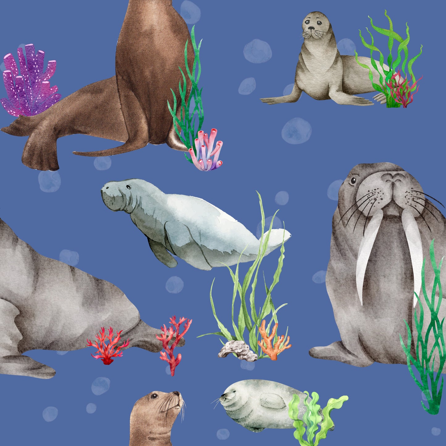 Adult Shirts - Ocean Exploration Collections
