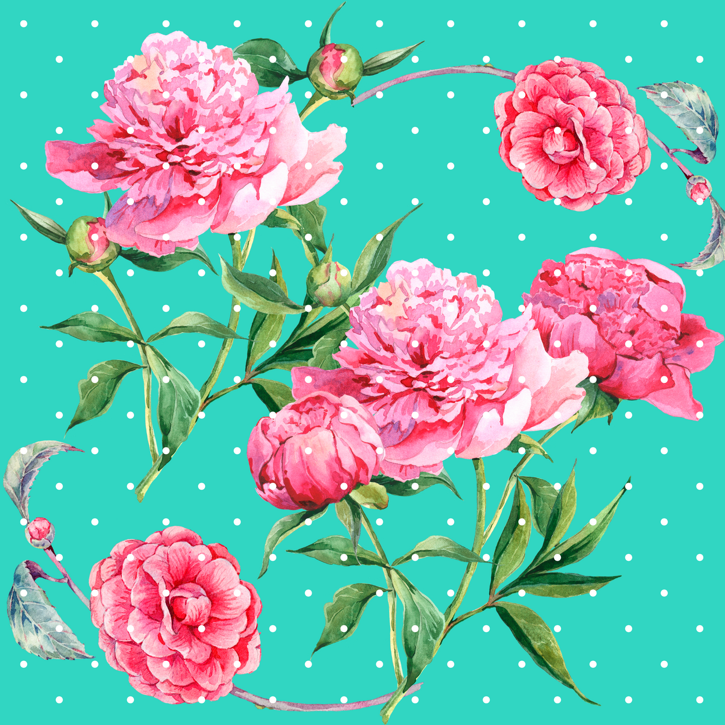 Adult Shirts - Sweet & Sunny Collections