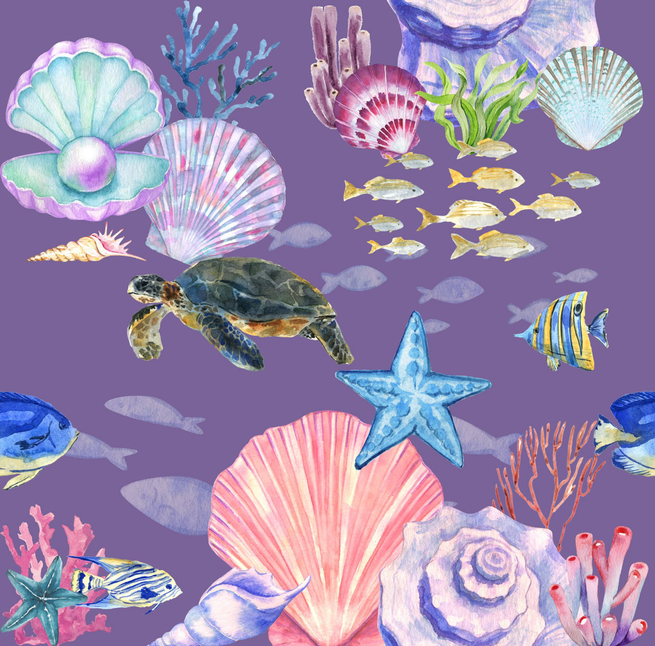 Shelly Collection 🐚