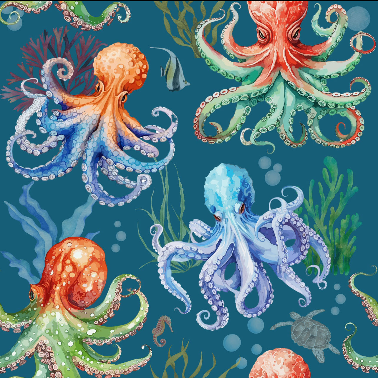 Tentacool Collection 🐙