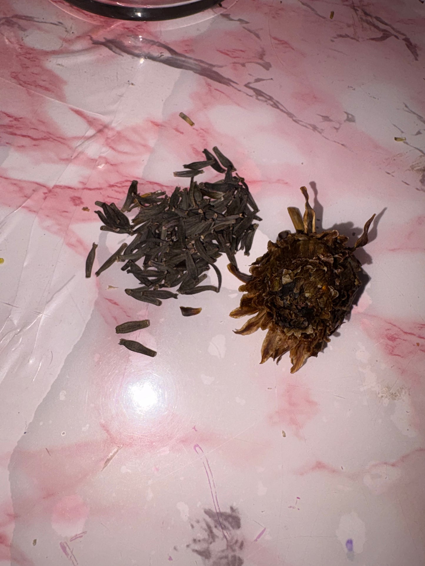 Dahlia Seeds Breeders Mix