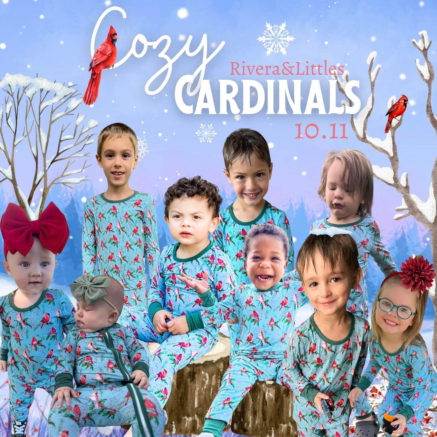 Cozy Cardinals ❤️