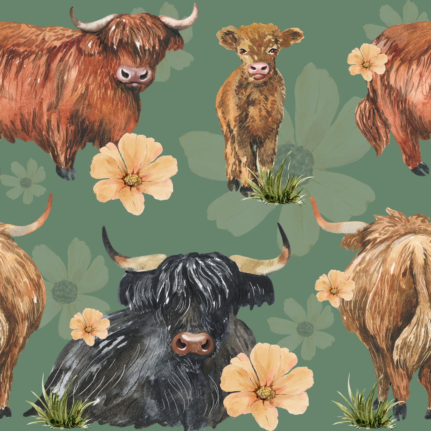 Teddy Hoodies - All Farm Collections