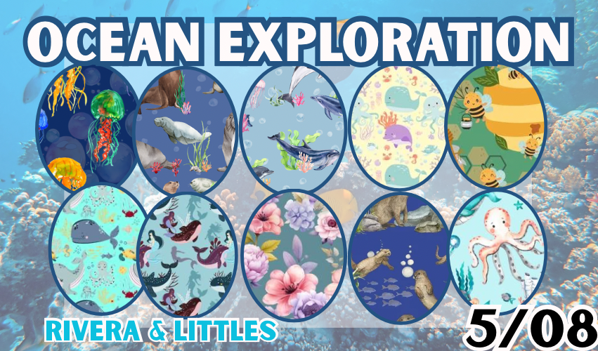 Ali’s Sea Creatures Collection